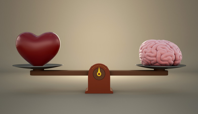 تفکیک تصمیمات منطقی از احساسی